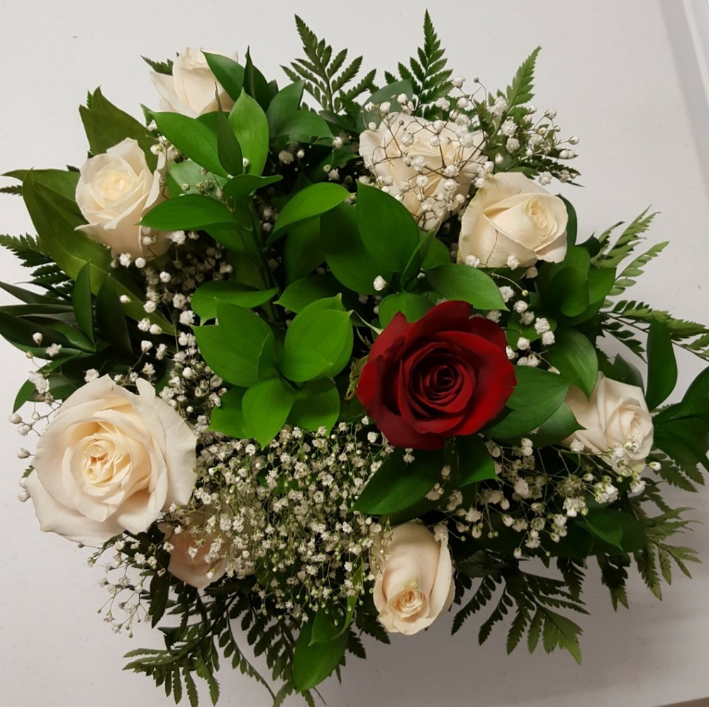 Meet your Posher, Stormy